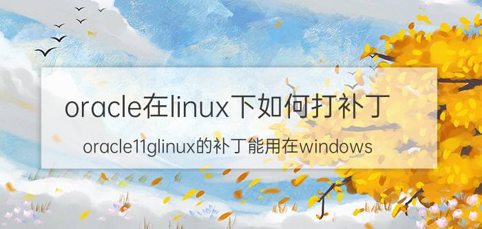 oracle在linux下如何打补丁 oracle11glinux的补丁能用在windows？